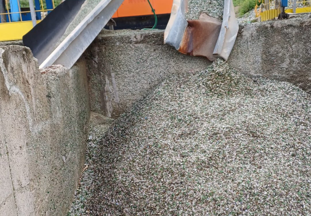 Campagne de broyage de verre : un geste pour la planète et pour Saint-Martin ! 