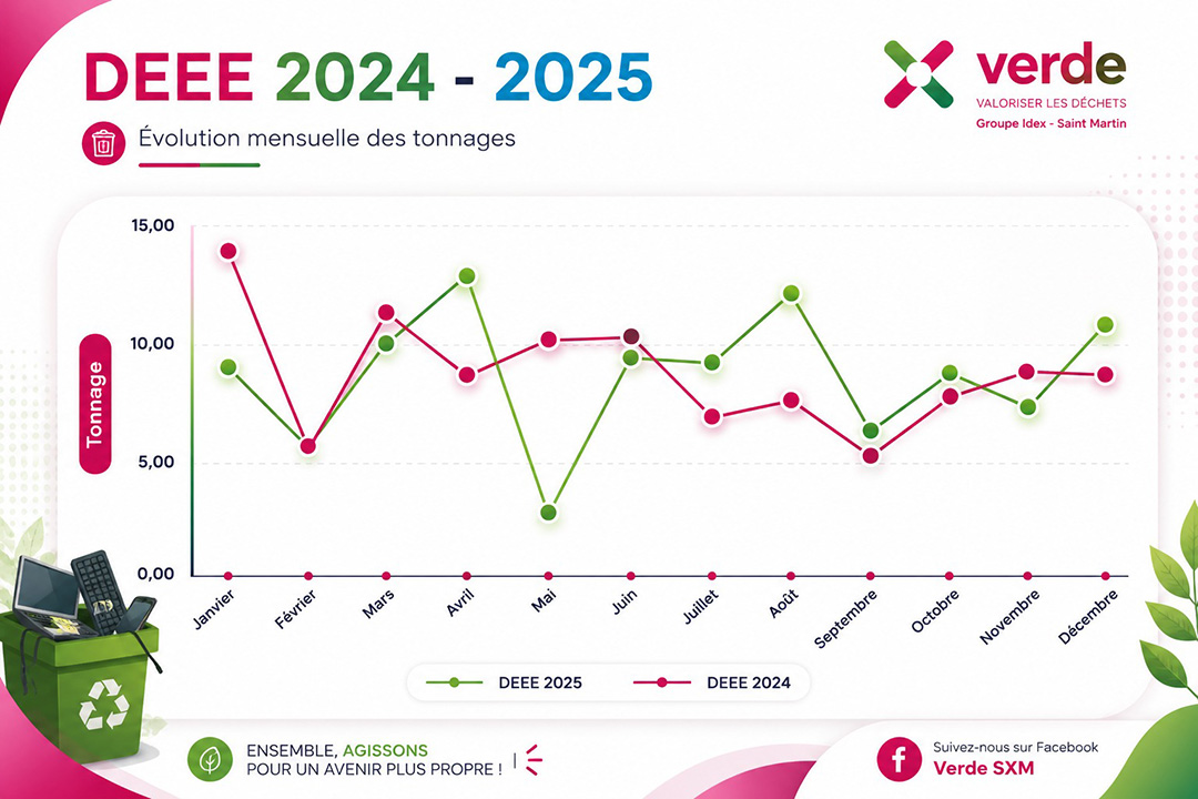 Focus sur les DEEE et PAM