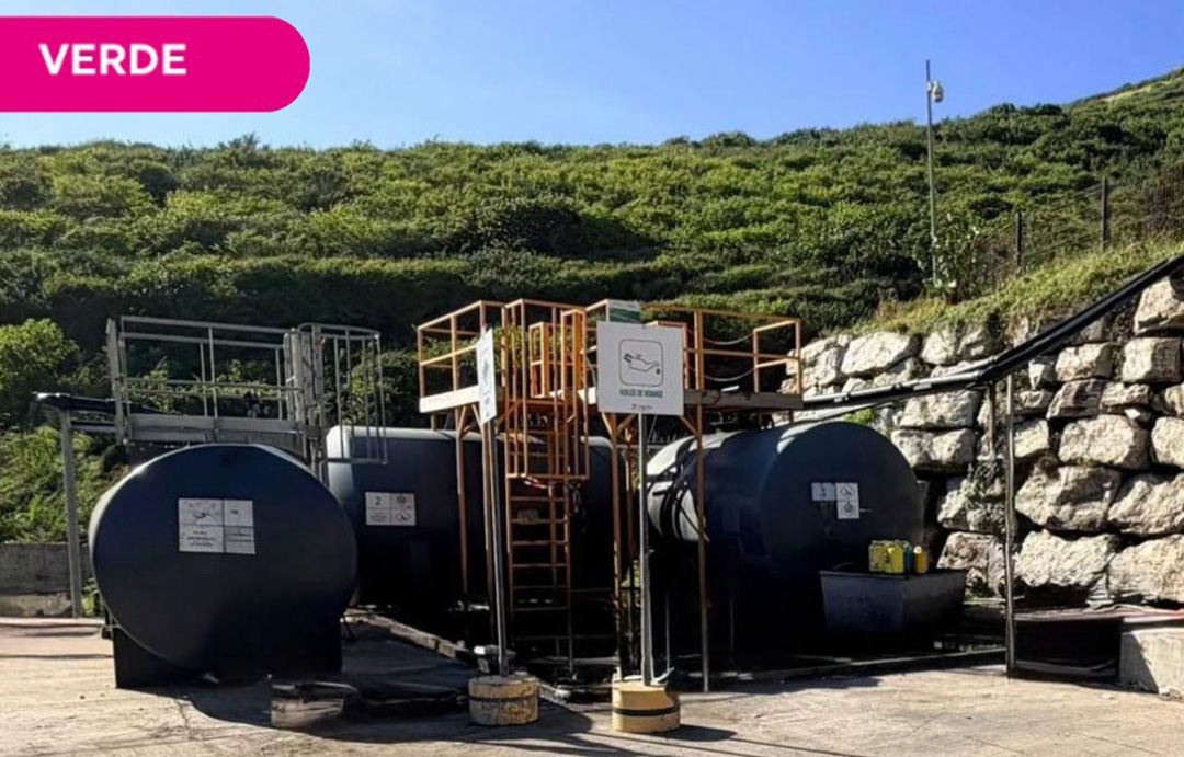 Chez Verde SXM, les huiles sont récupérées GRATUITEMENT