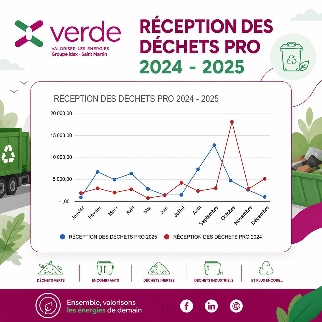 Tonnage entrants PRO – Analyse des typologies (2024 vs 2025)