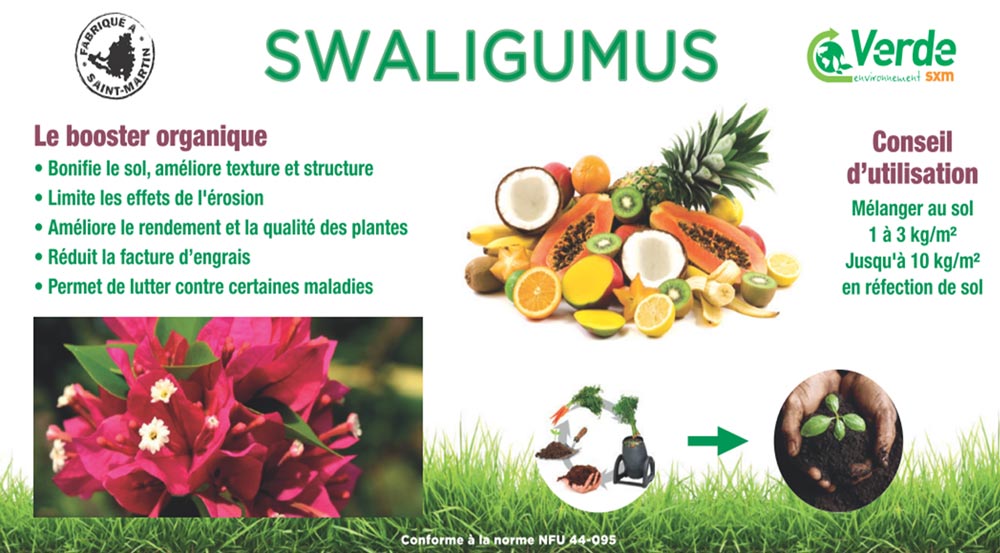 swaligumus